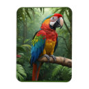 Suche nach parrot magnete Vögel