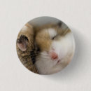 Suche nach lustige hamster buttons Niedlich