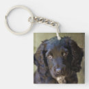 Suche nach mit augen hund schlüsselanhänger Traurig