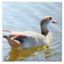 Suche nach ente fliesen Wasser