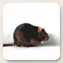 Suche nach ratte untersetzer Nagetier