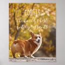 Suche nach corgi kunst poster Foto