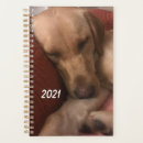Suche nach ich und mein hund planer Planung