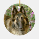 Suche nach belgier ornamente Tervuren