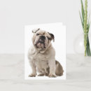 Suche nach bulldog karten Welpe