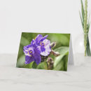 Suche nach hebräer karten Blume