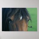 Suche nach halter poster Pferde