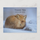 Suche nach fuchs foto postkarten Niedlich