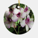 Suche nach orchideen ornamente Blume