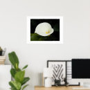 Suche nach fotografen poster Fotografisch