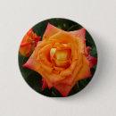 Suche nach orange blumen buttons Botanisch