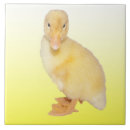 Suche nach gelbe ente fliesen Niedlich