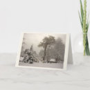 Suche nach sonnenwende postkarten Baum