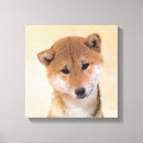 Suche nach shiba inu kunst Inuu
