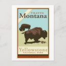 Suche nach bison vertikale postkarten Montana
