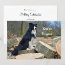Suche nach border collie einladungen Grenzkollie