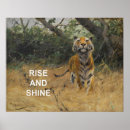 Suche nach niedliche tiger poster Tierwelt