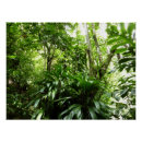 Suche nach tropischer regenwald poster Natur