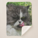 Suche nach bunte katzen decken Für sie