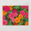 Suche nach greenfield poster Danita abgrenzung