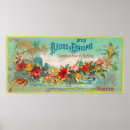 Suche nach soap poster Presse