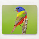 Suche nach grüner vogel mousepads Blau
