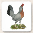 Suche nach hen untersetzer Vogelvogel