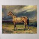 Suche nach constantin poster 1855