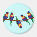 Suche nach australische vögel magnete Australie