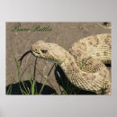 Suche nach rattlesnake poster Klapperin