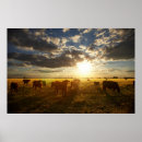 Suche nach große sonne poster Fotografie