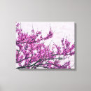 Suche nach lavendel geschenken poster leinwandbilder Quelle