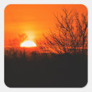 Suche nach schöne landschaft aufkleber Bäume