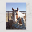 Suche nach malen sie pferd postkarten Pferde