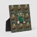 Suche nach elche fotoplatten Wald