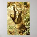 Suche nach papageien poster Dschungel