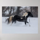 Suche nach pferde schnee poster Ranch