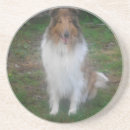 Suche nach collie untersetzer Haustier