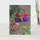 Suche nach kolibri karten Mother