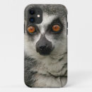 Suche nach lemur iphone hüllen Madagaskar