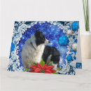 Suche nach border collie karten Weiß