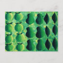 Suche nach apfel postkarten Biologisch