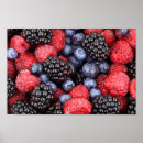 Suche nach heidelbeere poster Beeren