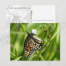 Suche nach monarchfalter postkarten Natur