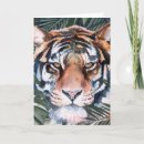 Suche nach tiger karten Dschungel