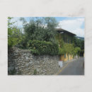 Suche nach florenz postkarten Pflanze