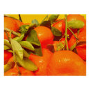 Suche nach orange frucht poster Obst