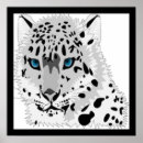 Suche nach schnee leopard poster Blau