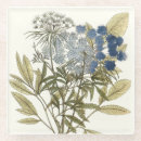 Suche nach studier studie untersetzer Blume