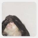 Suche nach aufwachen aufkleber Natur